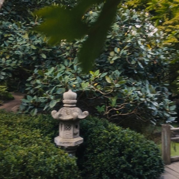 Thumbnail of p-dcrwcs8xpha-e82b359b8b82428e 2