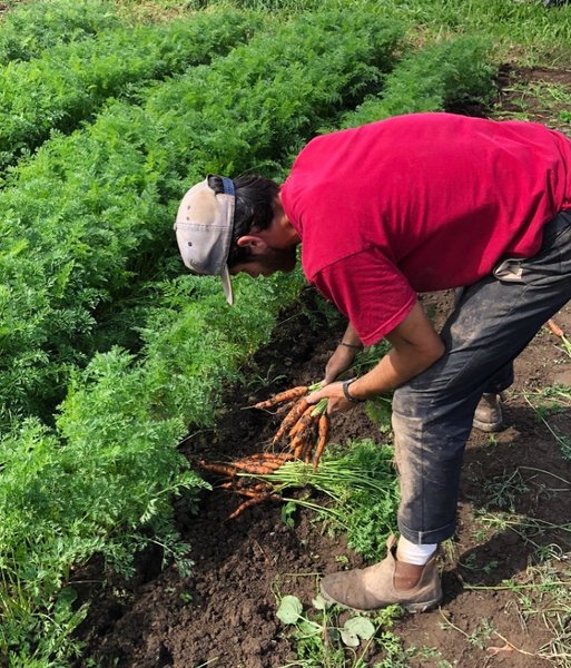 Thumbnail of p-cnvdg98tpqn-e838fbedc0b74da5 2