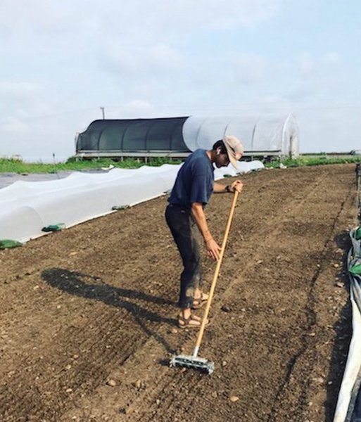 Thumbnail of p-cnvdg98tpqn-e838fbedc0b74da5 4