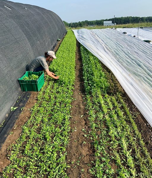 Thumbnail of p-cnvdg98tpqn-e838fbedc0b74da5 5