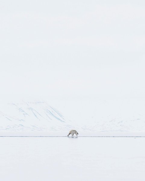 Thumbnail of p-b9potdrlxvl-e8721c0d01474749 0