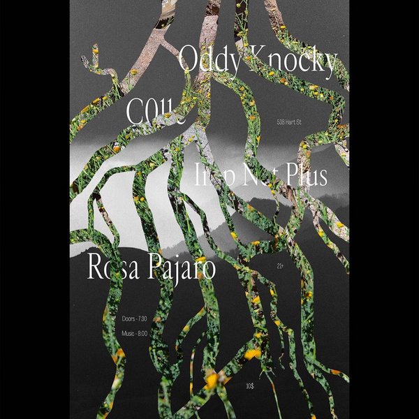 Thumbnail of p-c12miu0ouut-e8aeb34e0c8b452b 1