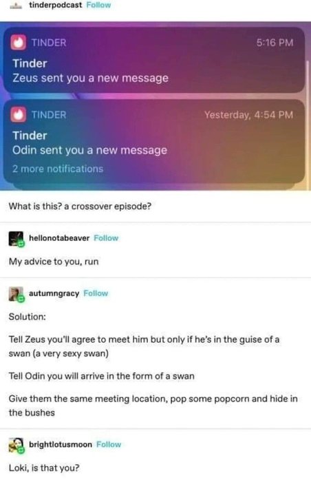 Thumbnail of www-x-com-csmfht-status-1641374752316211200-e8b4b3e47ddd48f4