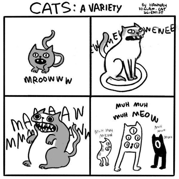 Thumbnail of p-b0pyq0nfceg-e8ea605d4df24f02 0