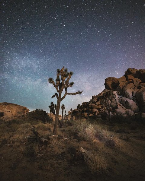 Thumbnail of p-bnmgflvhuno-e8f40b9b014c47f4 0