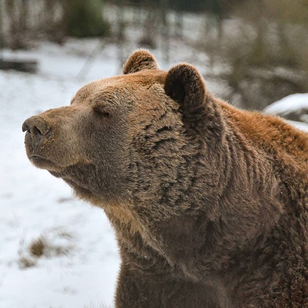 Thumbnail of cko-jnggswm-e8f4e35ba733460d 0