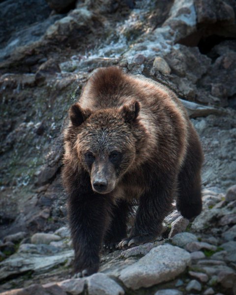 Thumbnail of cctx4-3agtz-e8f83ba1eca94aa5 0