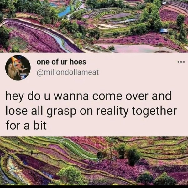 Thumbnail of p-cnxshmoui7i-e9474f3c2b694260 8