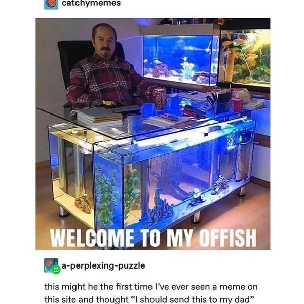 Thumbnail of p-caxlxyhfbfj-e965f4711f574f85 0