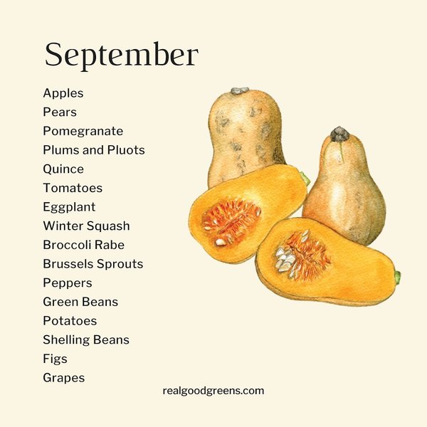 Thumbnail of p-ctszxf4p938-e97407bcd4874953 0