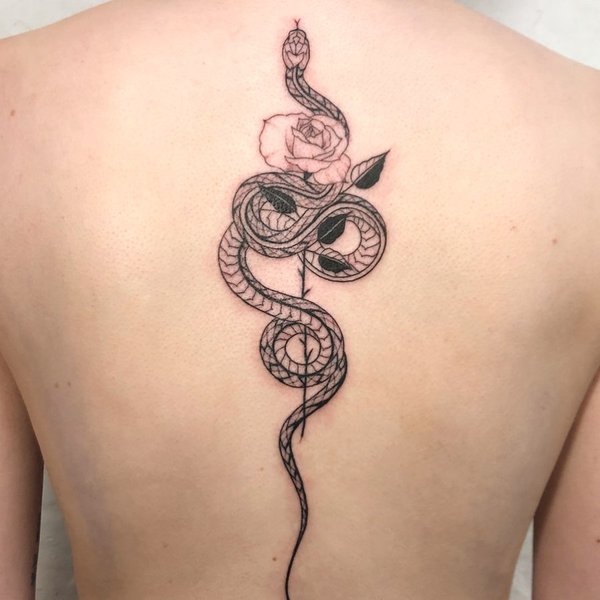 Thumbnail of p-b57w3ednxke-e9c7251167a049f4 1