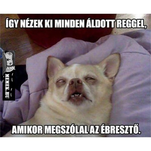 Thumbnail of btc6h-zasib-e9d4ba0fe01940d2 3