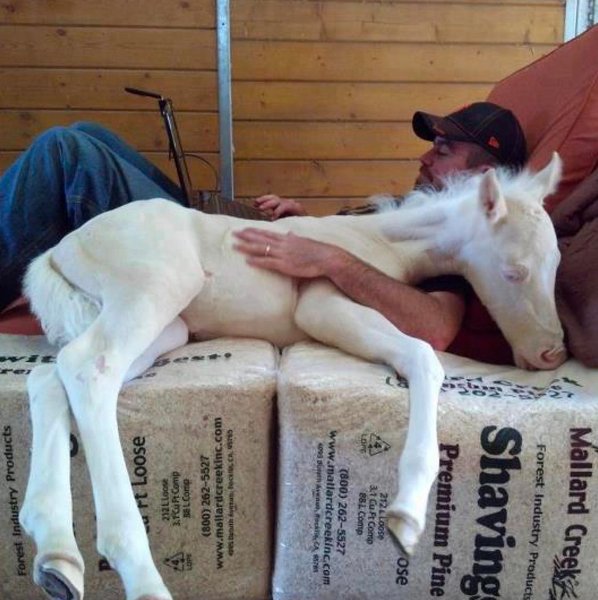 Thumbnail of p-cssssxmnbxq-ea0f8cd339ac48f3 2