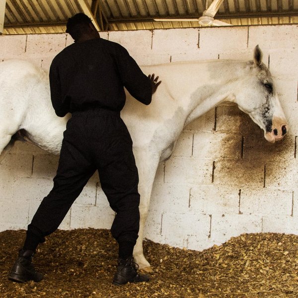 Thumbnail of p-cssssxmnbxq-ea0f8cd339ac48f3 3