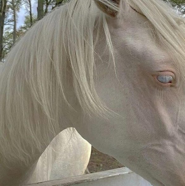 Thumbnail of p-cssssxmnbxq-ea0f8cd339ac48f3 4