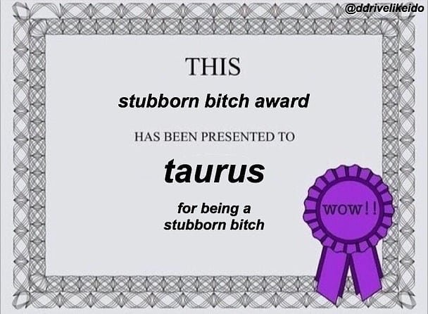 Thumbnail of p-bvcvfeahccf-ea271fdf7a544498 2