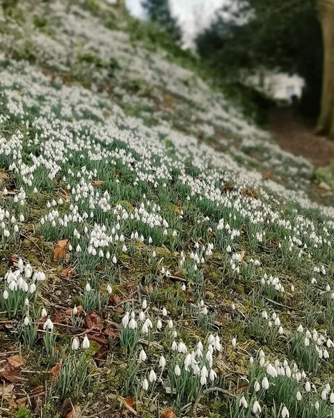 Thumbnail of p-dfpiqikke4v-ea2daabf721e47c6 0