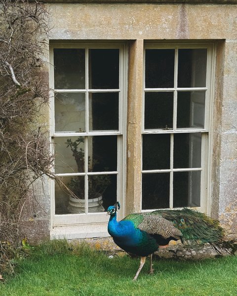 Thumbnail of p-dfpiqikke4v-ea2daabf721e47c6 1