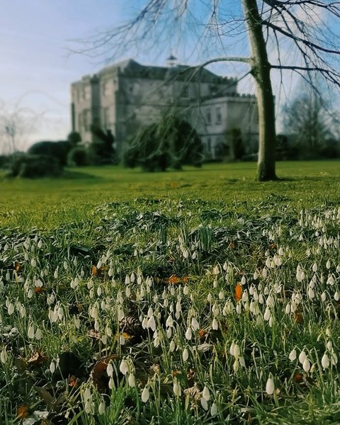 Thumbnail of p-dfpiqikke4v-ea2daabf721e47c6 12