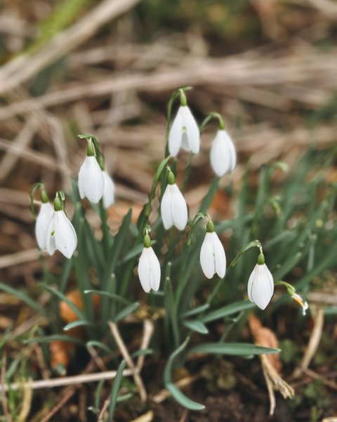 Thumbnail of p-dfpiqikke4v-ea2daabf721e47c6 4