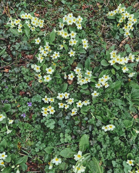 Thumbnail of p-dfpiqikke4v-ea2daabf721e47c6 6