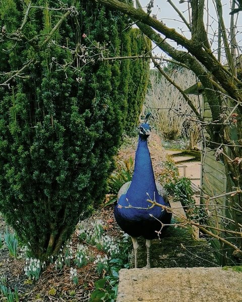 Thumbnail of p-dfpiqikke4v-ea2daabf721e47c6 8