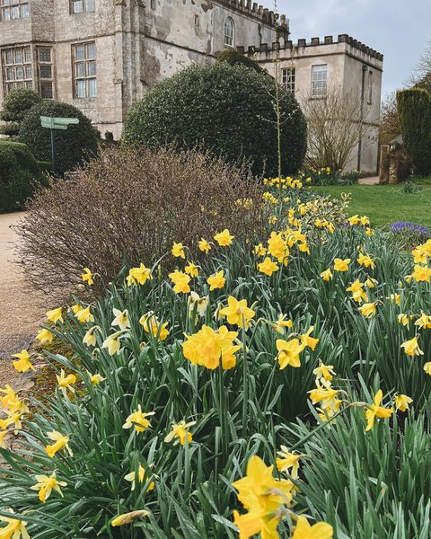 Thumbnail of p-dfpiqikke4v-ea2daabf721e47c6 9