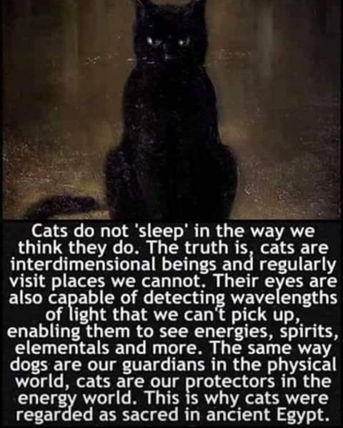 Thumbnail of cg-ejbsfmlc-ea60ce9390df4c83 0