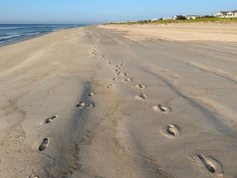 Thumbnail of p-ctzdktjomx9-ea661310a1194e4e 5