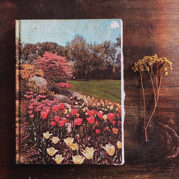 Thumbnail of cc-eawxjcoy-ea7cc3520d6947f8 0