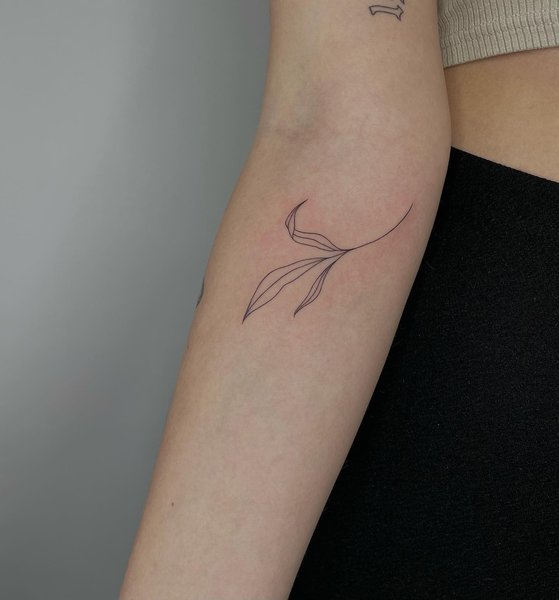 Thumbnail of ccbbudti-iu-ea7ee5d7995443c0 0