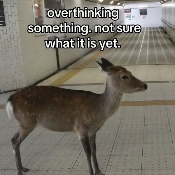 Thumbnail of p-dky8n4rtku9-ea8dc564b15d40fd 8