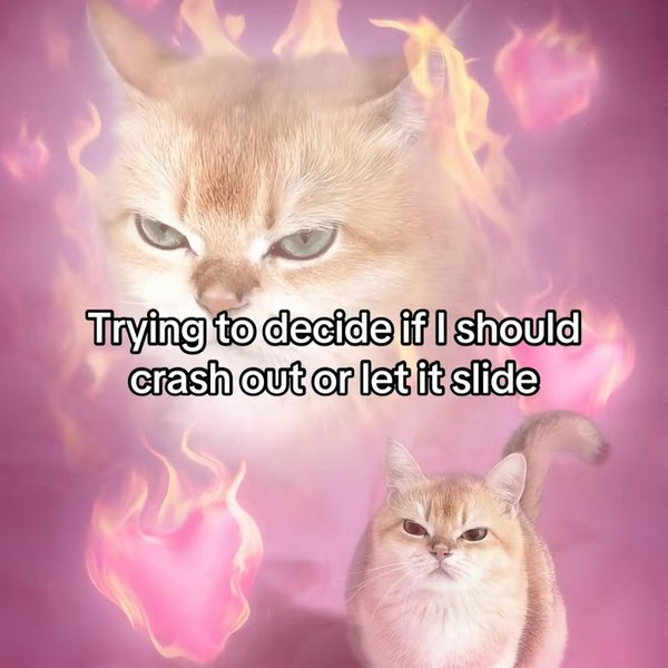 Thumbnail of p-dky8n4rtku9-ea8dc564b15d40fd 9