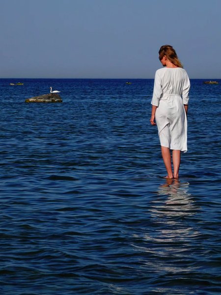 Thumbnail of p-dpkcmuljio8-eaa958585fa143b0 6