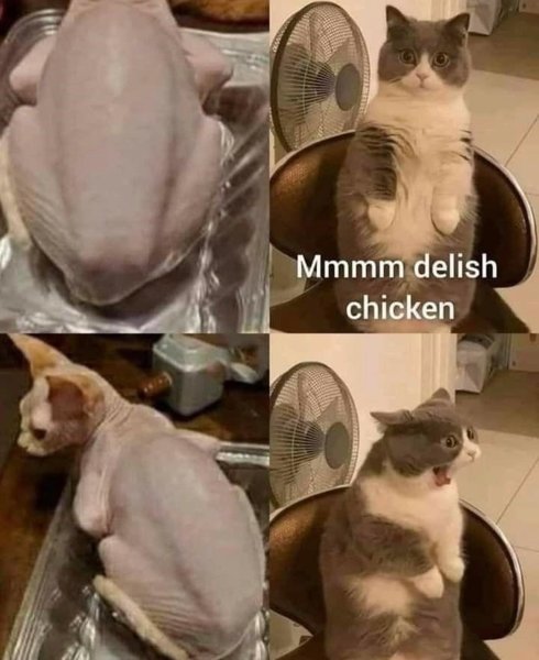 Thumbnail of p-cfj61udfxi1-ead1d8801e1c4a36 0