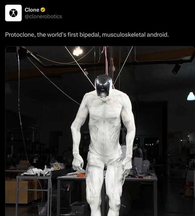 Thumbnail of www-x-com-basedtorba-status-1893050475135566141-eaf89b801a7f4bc2