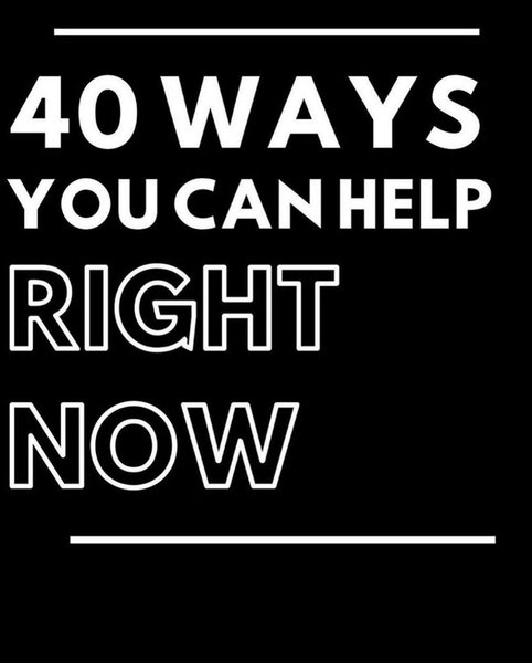 Thumbnail of p-ca8pzwop7rc-eb40133adc2e49dd 0