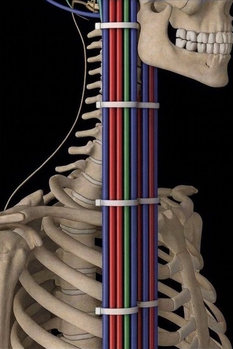 Thumbnail of www-x-com-andrewmohawk-status-1970868412848165194-eb539141b117468b