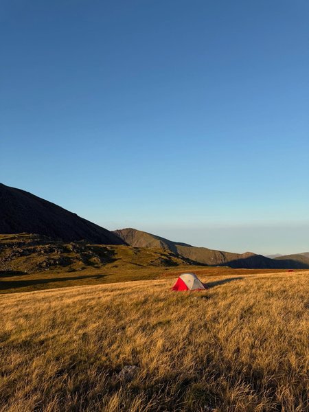 Thumbnail of p-dndwvz7ildh-eb9ab2af352b4446 2