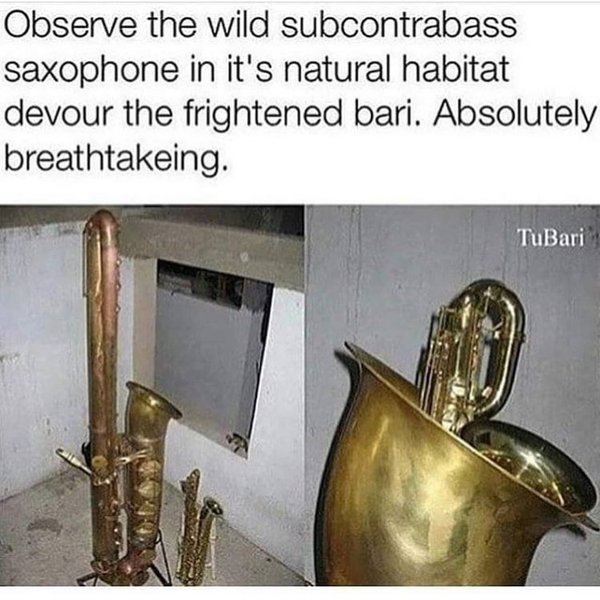 Thumbnail of p-bzleqdejxw8-ebca968d36d04195 0