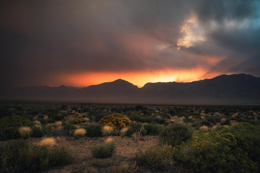 Thumbnail of p-c6hg5dcrbqz-ebcb4ab2042b41dc 2