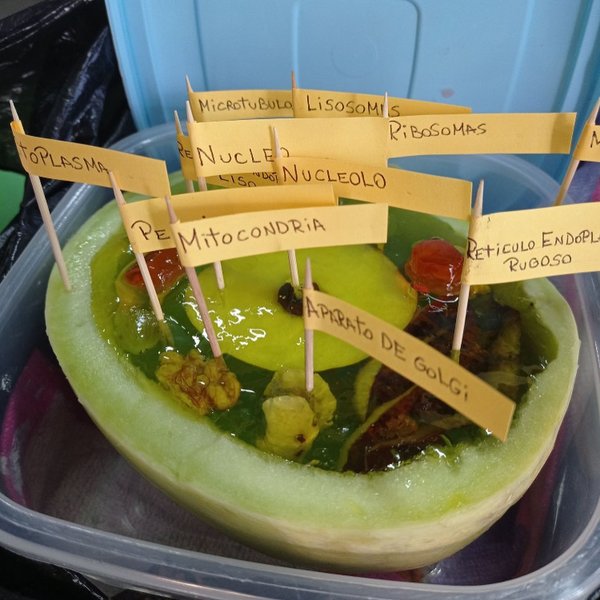 Thumbnail of cdrgn1ar-5u-ebdf9d1f89fe485d 2