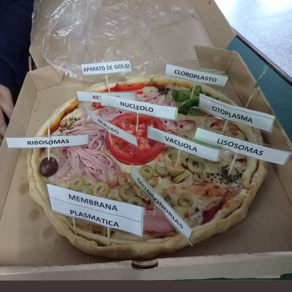 Thumbnail of cdrgn1ar-5u-ebdf9d1f89fe485d 3