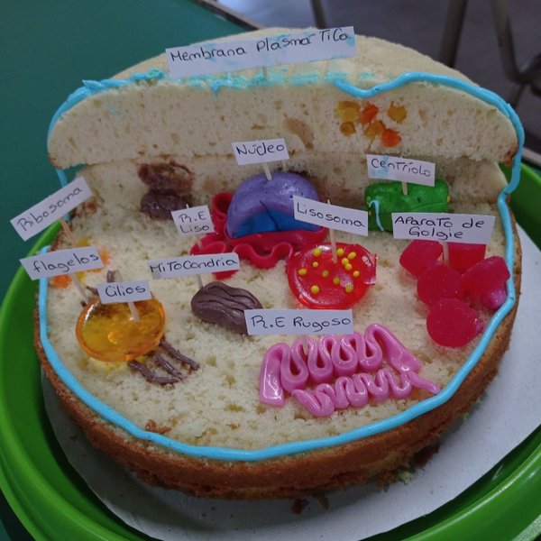 Thumbnail of cdrgn1ar-5u-ebdf9d1f89fe485d 4