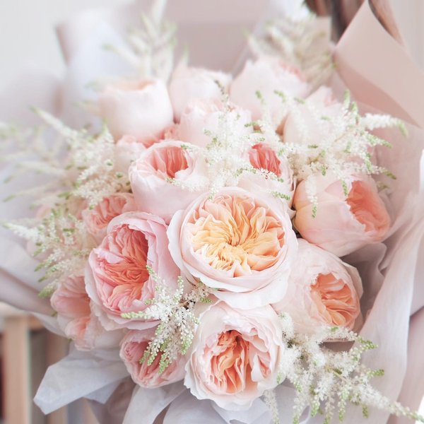 Thumbnail of p-cuoulz9pnku-ebe68ea5e7ba4c06 1