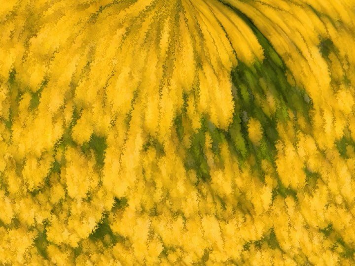 Thumbnail of p-dm7yhsonv14-ebf50ed4460043c9 2