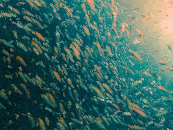 Thumbnail of p-dm7yhsonv14-ebf50ed4460043c9 4