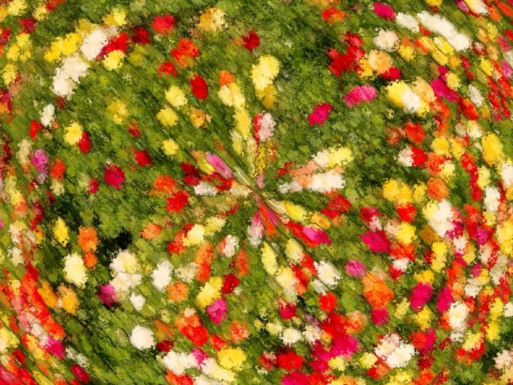 Thumbnail of p-dm7yhsonv14-ebf50ed4460043c9 5