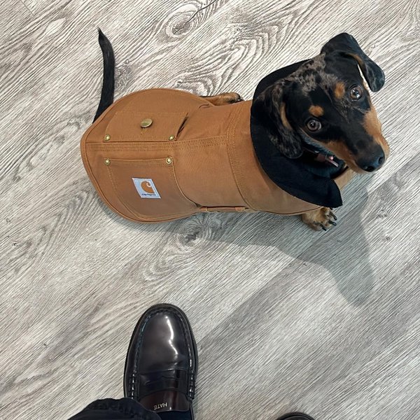 Thumbnail of p-c7khtcjmn50-ec15b6a79893419c 1