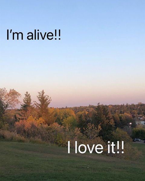 Thumbnail of p-dergsbquteu-ec16835683ea4b89 0